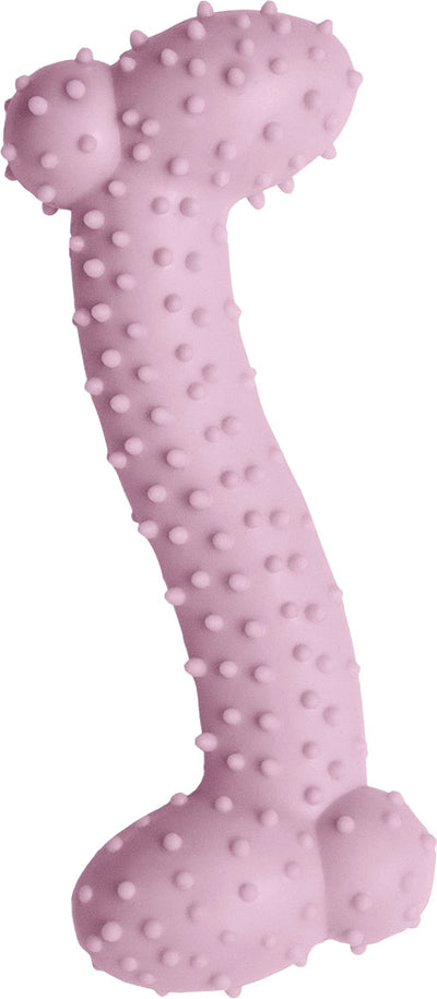 Snugarooz Lil Baby Bone Eco Tpr Dog Toy