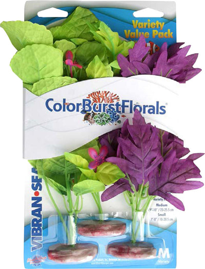 Color Burst Florals Amazon Flowering Cluster