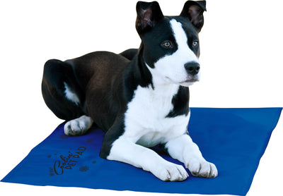 K&H Coolin' Pet Pad
