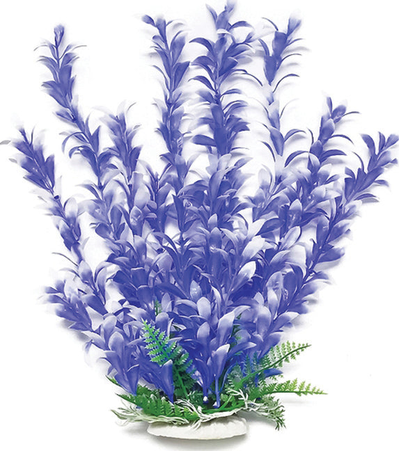 Bacopa-Like Weighted Aquarium Plant