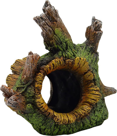 Exotic Environments Tree Root Tunnel