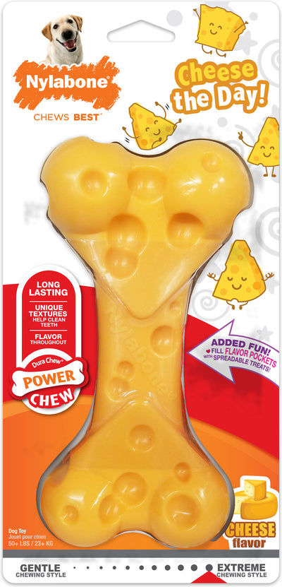 Nylabone Power Chew Bone