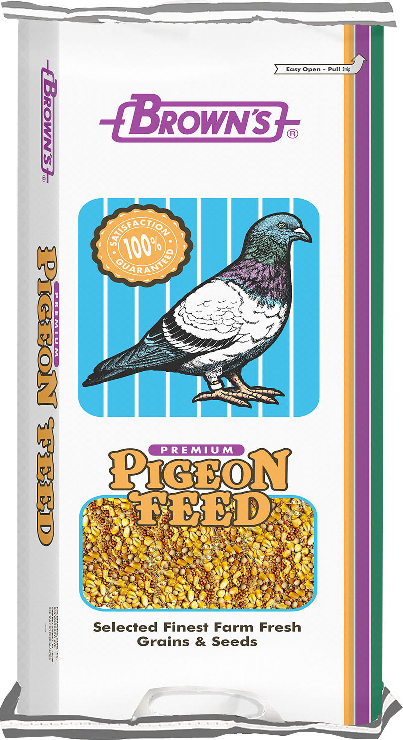 Park Small Corn Pigeon Food