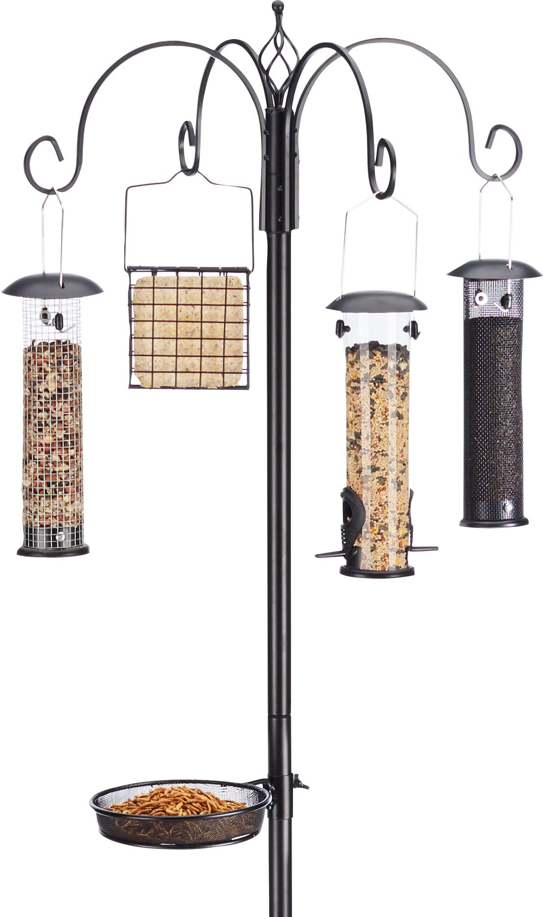 Ultimate Bird Feeding Station