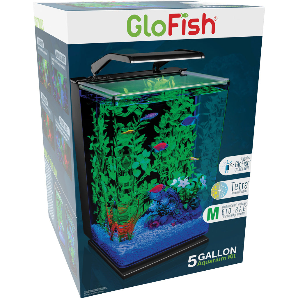 Glofish Aquarium Kit Led Cycle Desktop