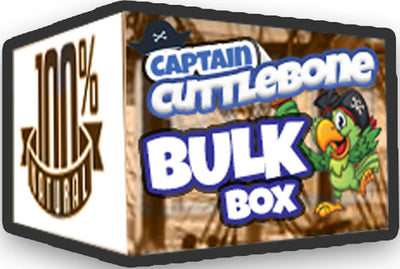 A&E Cuttlebone Bulk