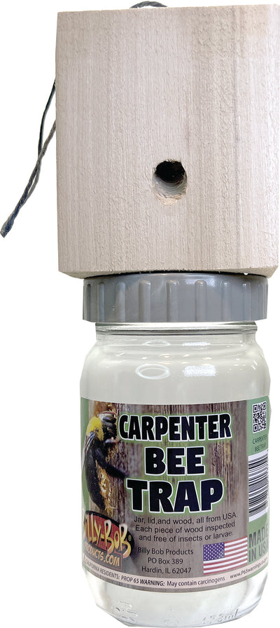 Billy Bob Carpenter Bee Trap