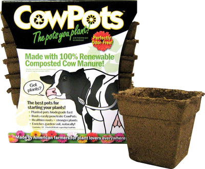 Cowpots