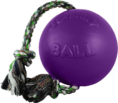 Jolly Pets Romp-N-Roll Ball
