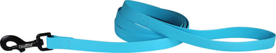 Carnival Biothane Dog Lead