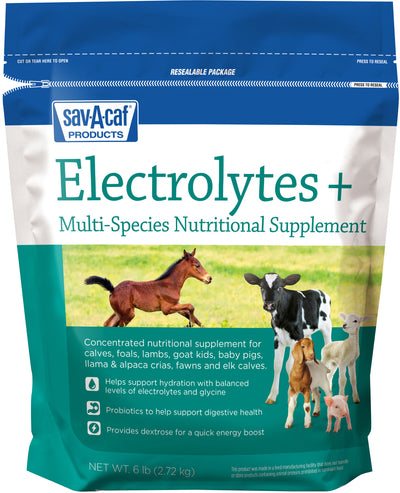 Electrolytes Plus Multi-Species Supplement