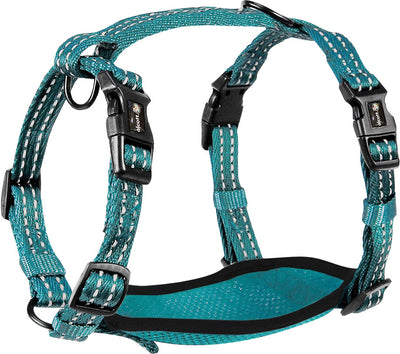 Alcott Adventure Harness