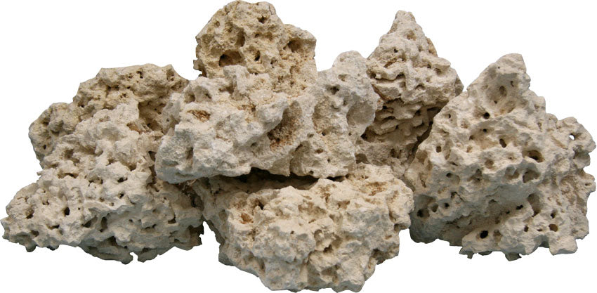 Coral Base Rock