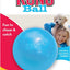 Kong Puppy Ball, Medium/Large, Colors vary