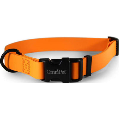 Carnival Biothane Dog Collar