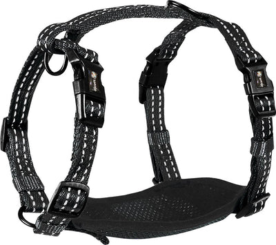 Alcott Adventure Harness