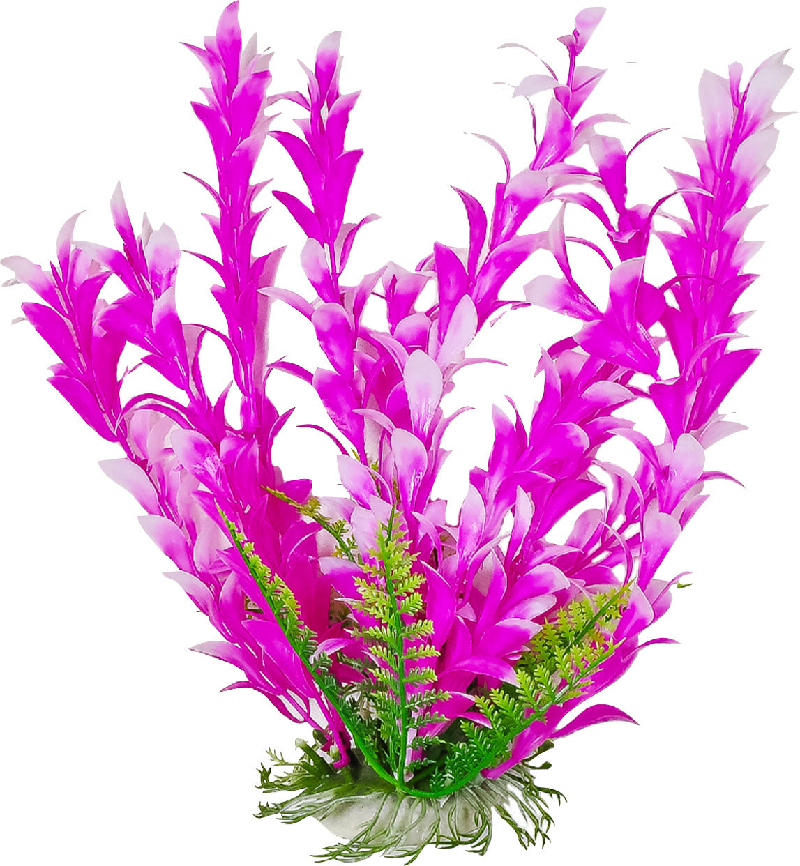 Bacopa-Like Weighted Aquarium Plant