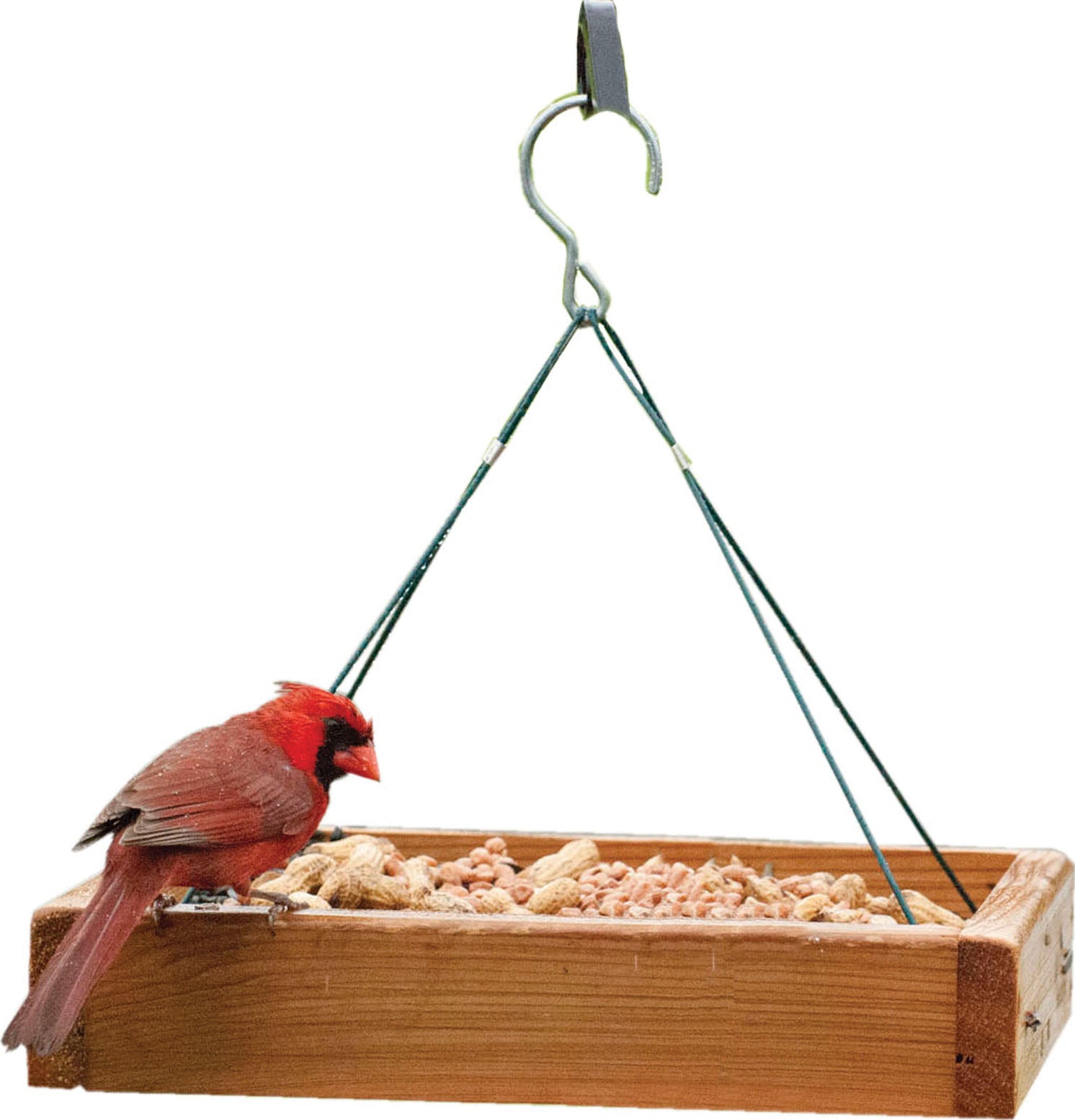 3-In-1 Cedar Platform Feeder