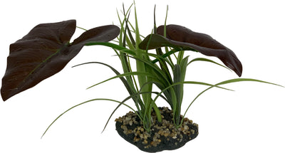 Komodo Rainforest Canopy Plant
