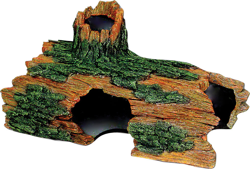 Exotic Environments Hollow Log