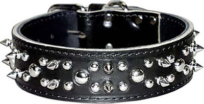 Latigo Leather Spike/Stud Dog Collar