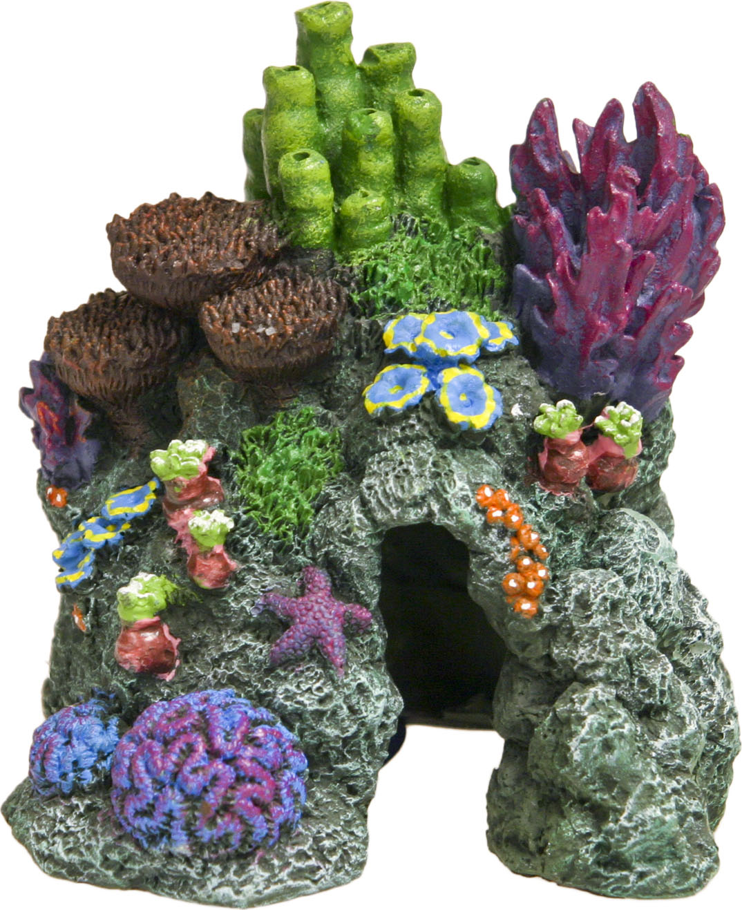 Exotic Environments Red Sea Hide-Away