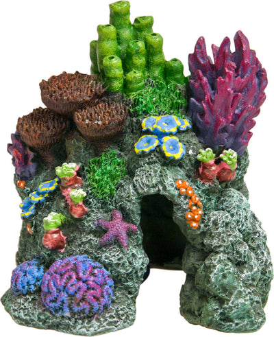 Exotic Environments Red Sea Hide-Away