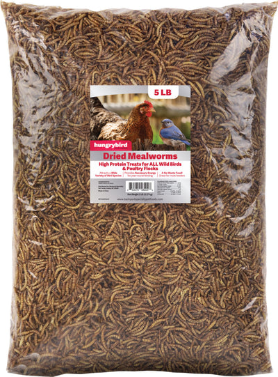 Hungrybird Dried Mealworms