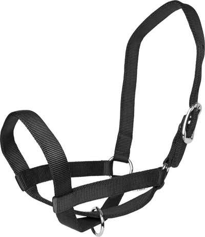 Gatsby Nylon Cattle Halter