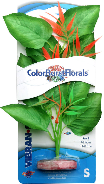 Color Burst Florals Marshwood Silk Style Plant