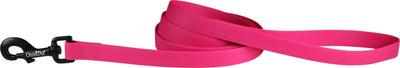 Carnival Biothane Dog Lead