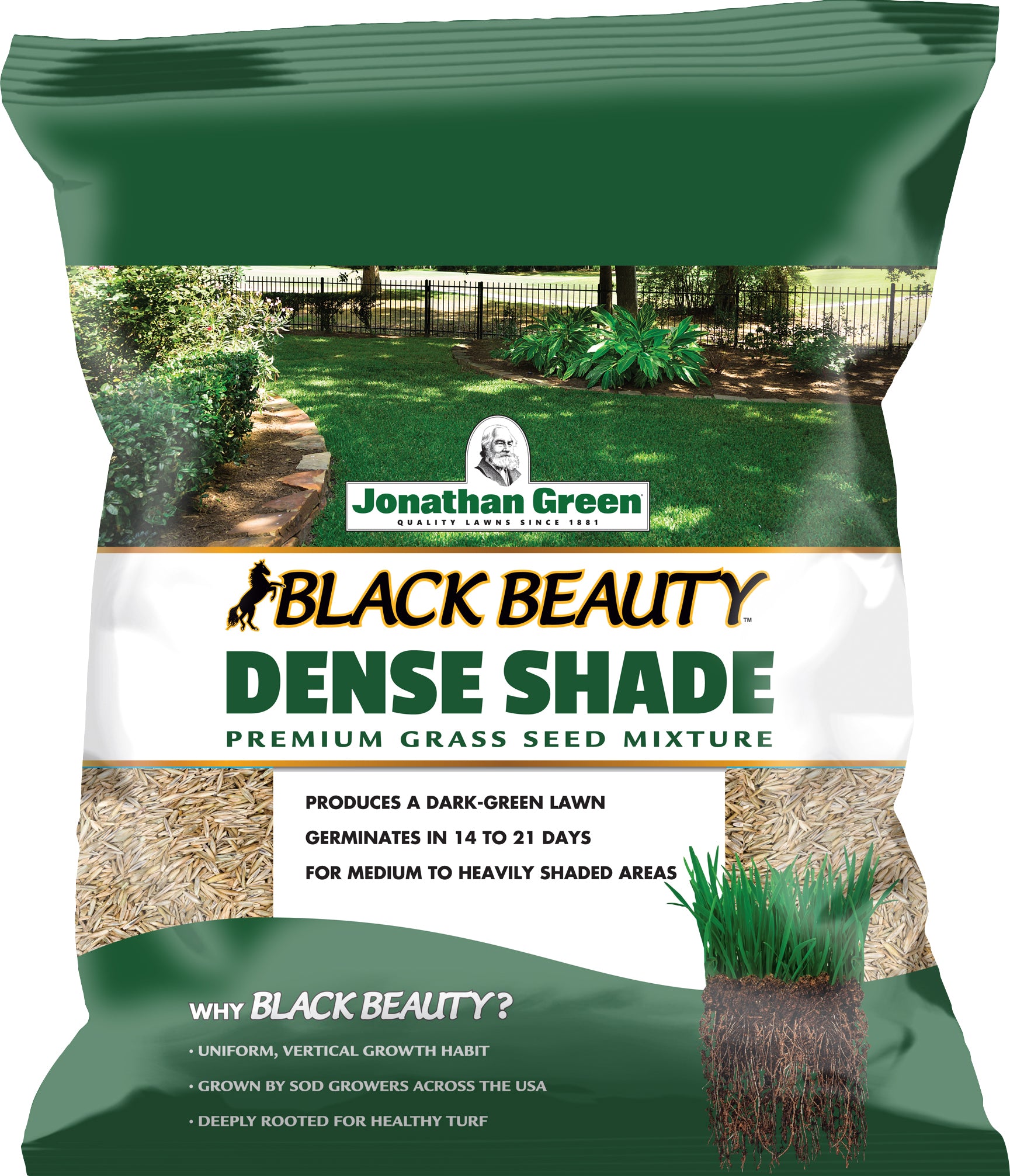 Black Beauty Dense Shade Grass Seed Mixture