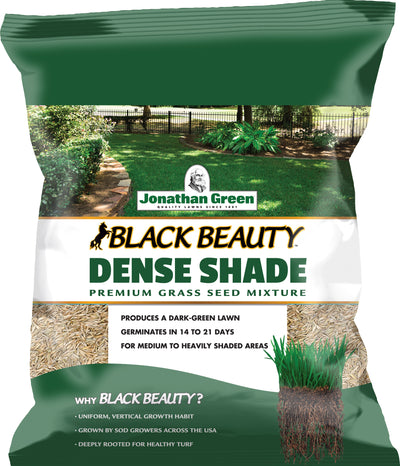 Black Beauty Dense Shade Grass Seed Mixture