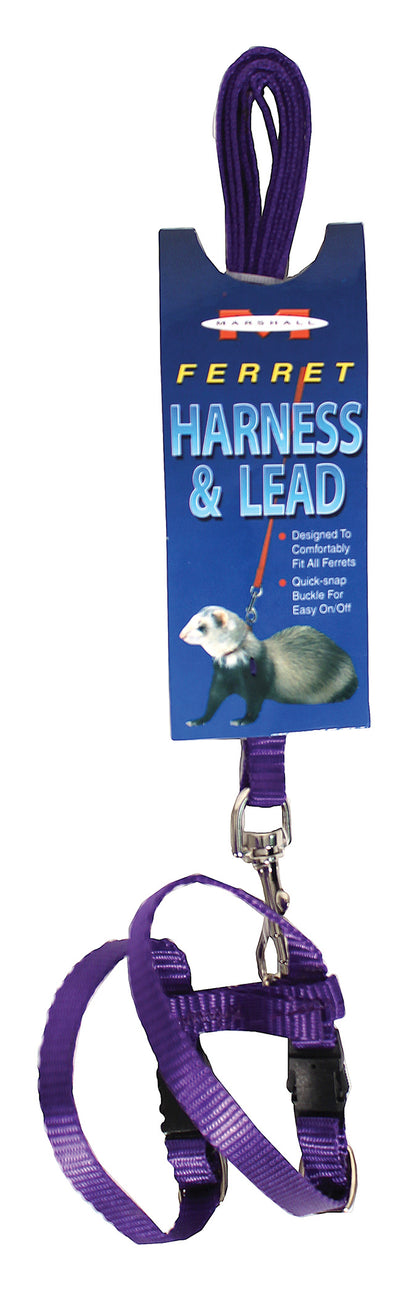 Marshall Ferret Harness And Lead