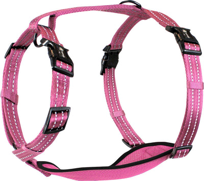 Alcott Adventure Harness