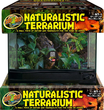 Naturalistic Terrarium
