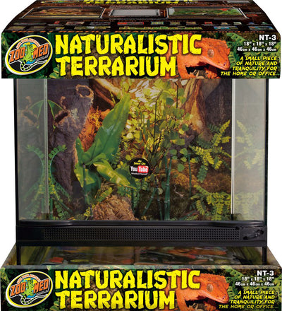 Naturalistic Terrarium