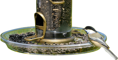 Quick-Clean Bigfoot Round Seed Tray