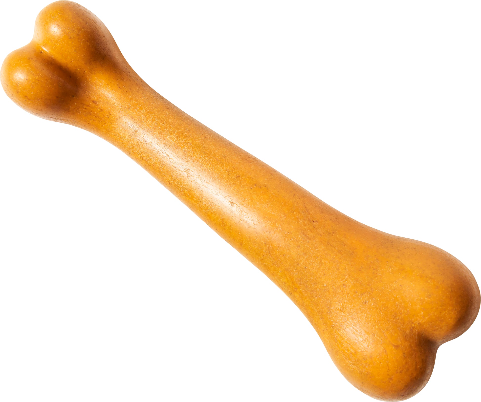Spot Bambone+ Dino Bone