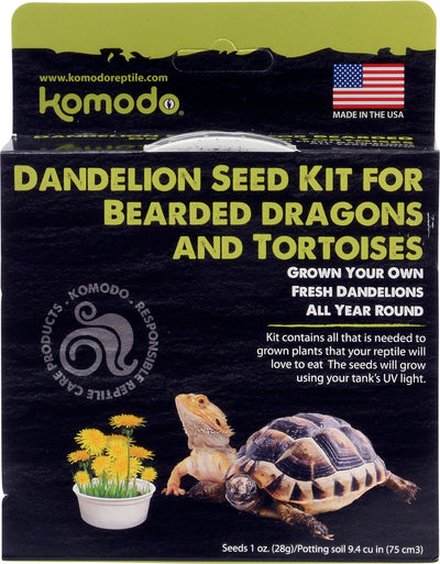 Komodo Grow Your Own Dandelion Kit