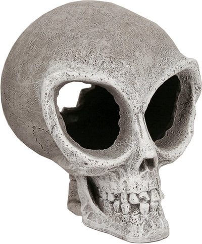 Exotic Environments Alien Skull