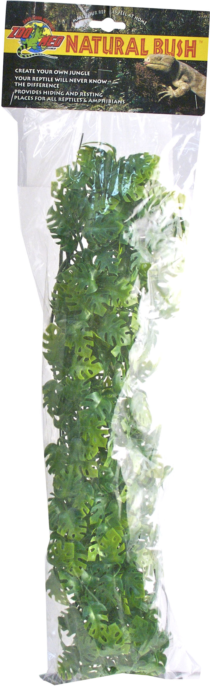 Natural Bush Amazonian Phyllo Plant