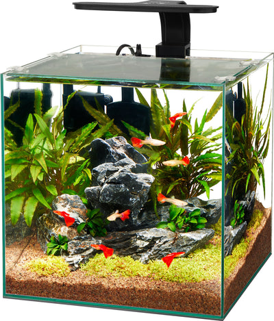 Aqueon Framless Cube Aquarium