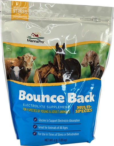 Bounce Back Multi-Species Electrolyte Supplement