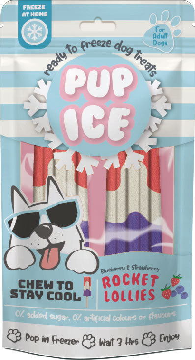 Pup Ice Rocket Lollies
