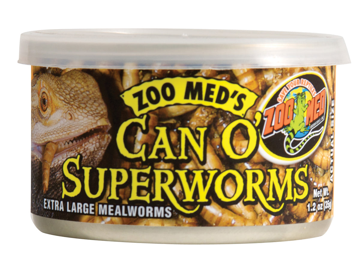 Can O' Superworms Extra Large Mealworms